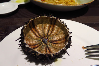 Perbacco, sea urchin
