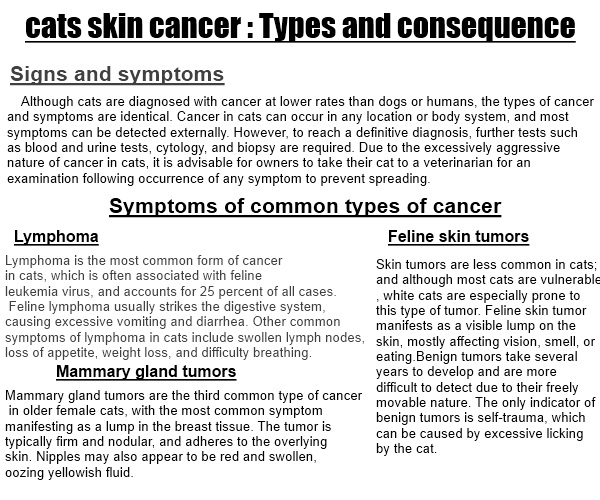 types-of-skin-cancer-in-cats