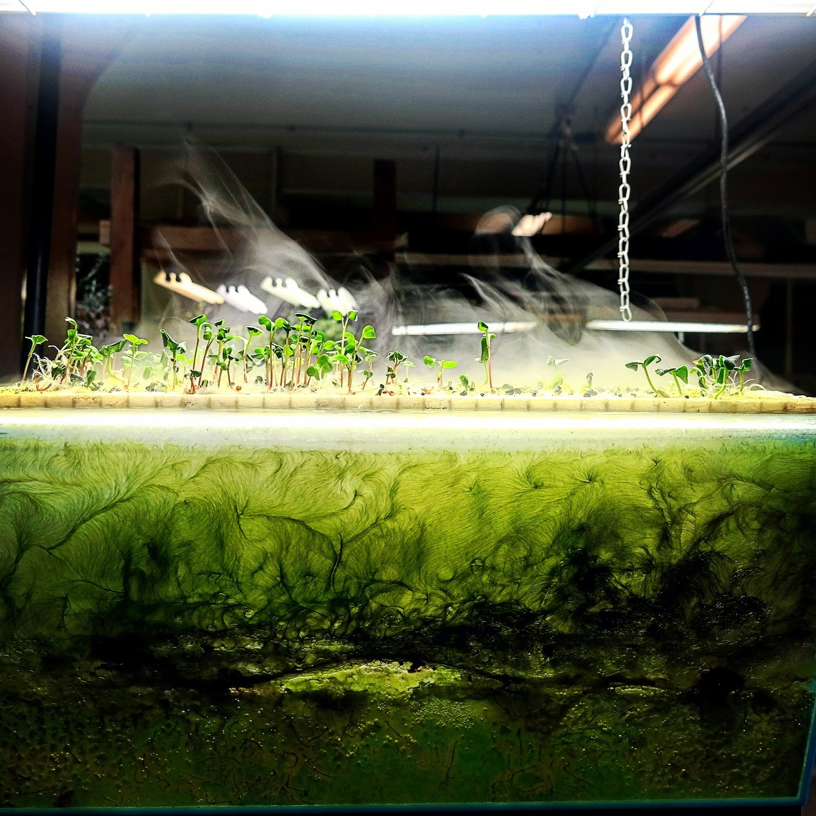 The House of Hydro Heavy Duty Ultrasonic Mist Maker DIY Fogponics