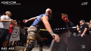 6.gif