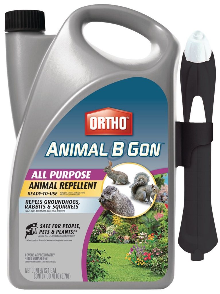 Groundhog Repellent Insect Killer Containing Diatomaceous Earth
