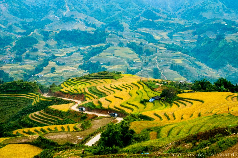 Exploit Certification Of Sapa Ro