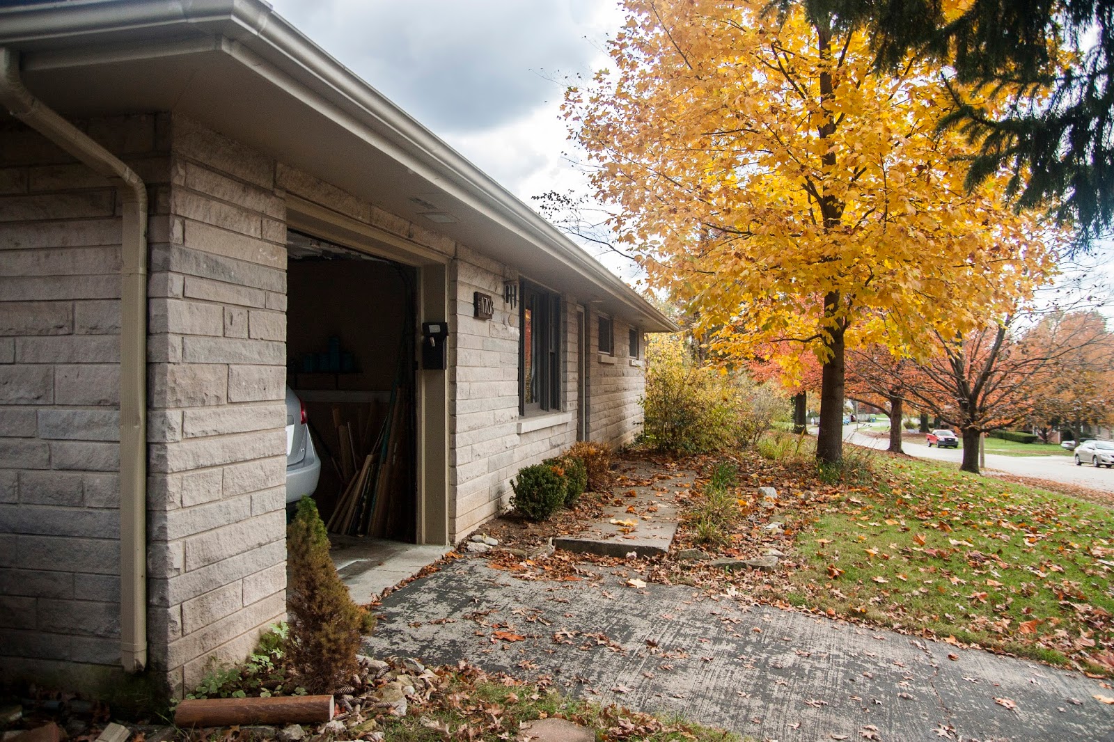 My Old Kentucky House Gettin' Fit and Trim