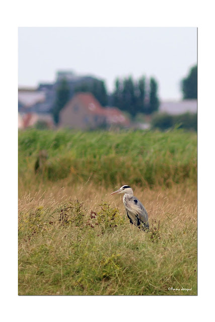 Rencontre nature