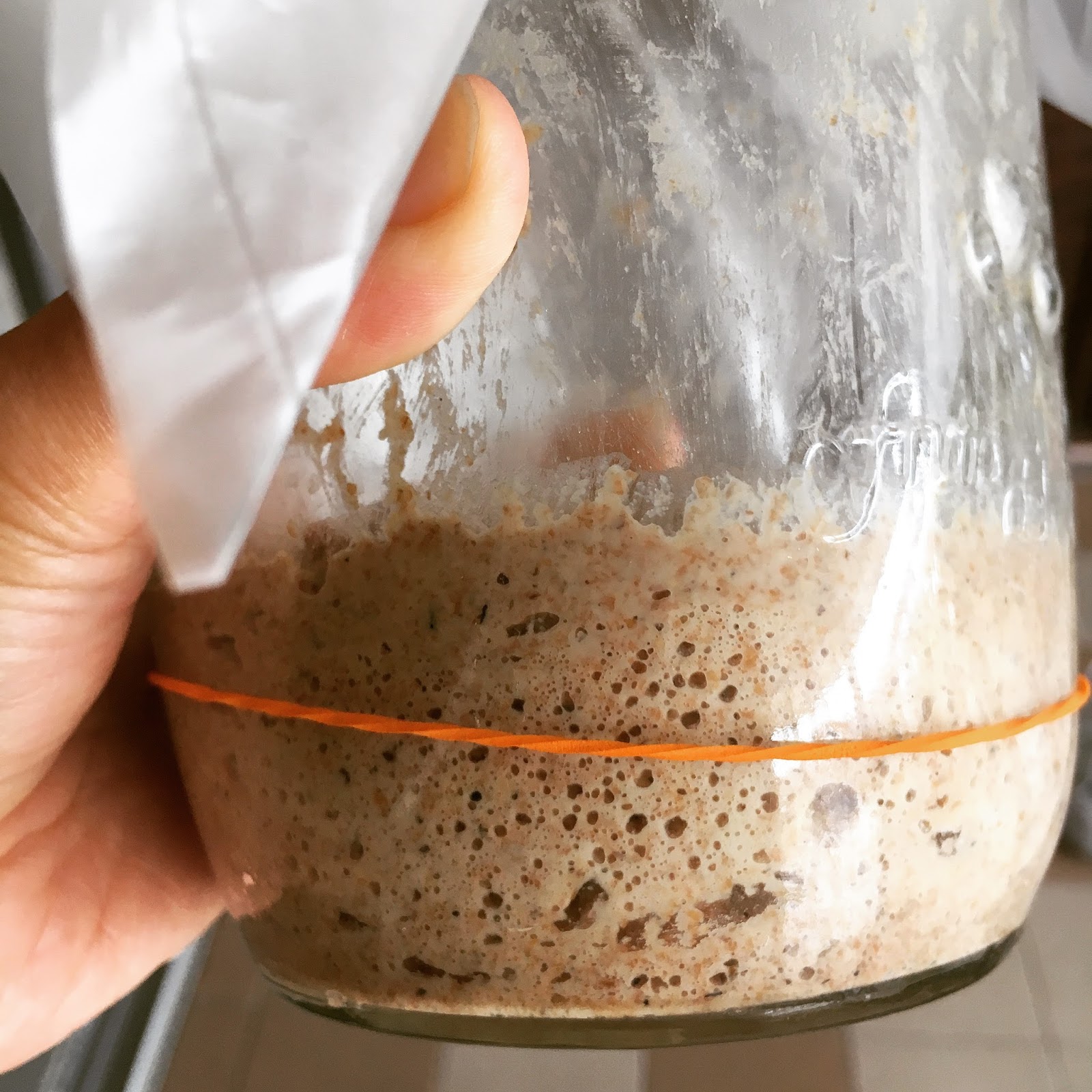 Wendy'S Small Small World Natural Yeast Starter Raisin Natural yeast