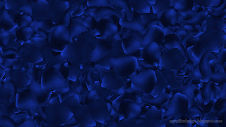 Abstract Blue Dark Rose Petals Background Design