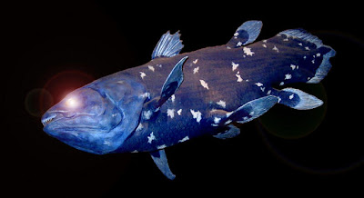 Coelacanth Coelacanth