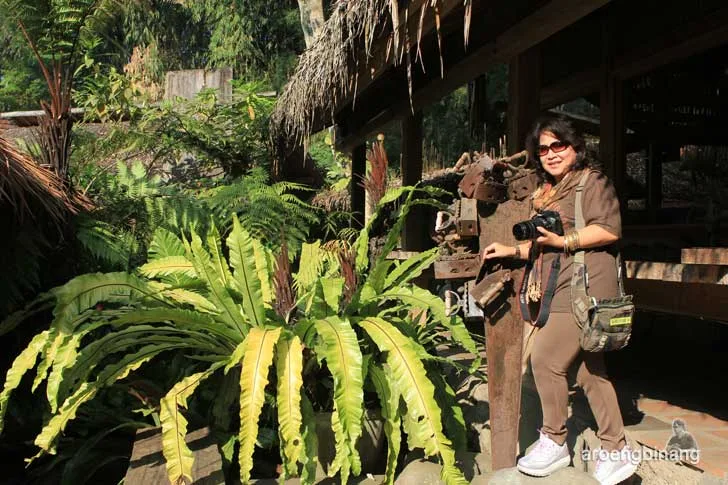 kampung daun parongpong bandung