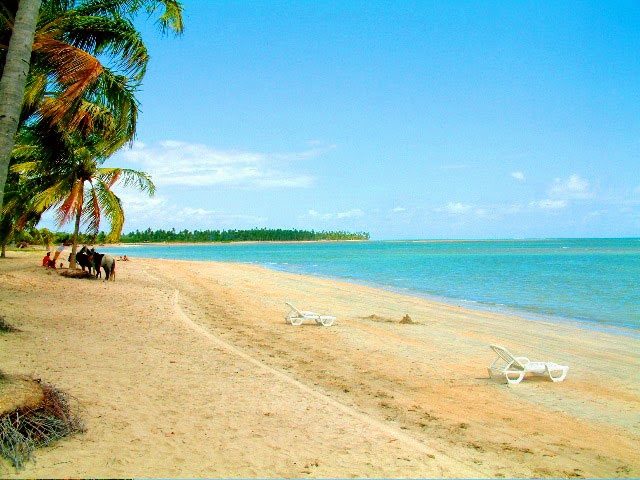 JULIANO TURISMO (traslado em Maceió Alagoas) LITORAL NORTE DE ALAGOAS