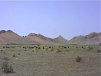 EAU-Al Aïn (désert)