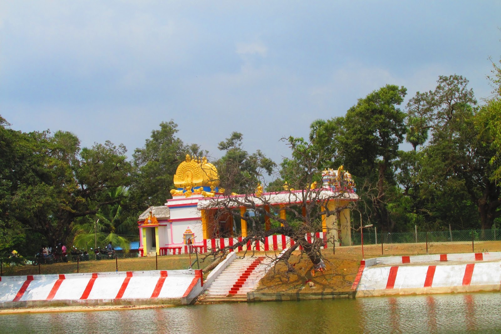 Kolathur Temple Tank (Waterbodies of Chennai 5)