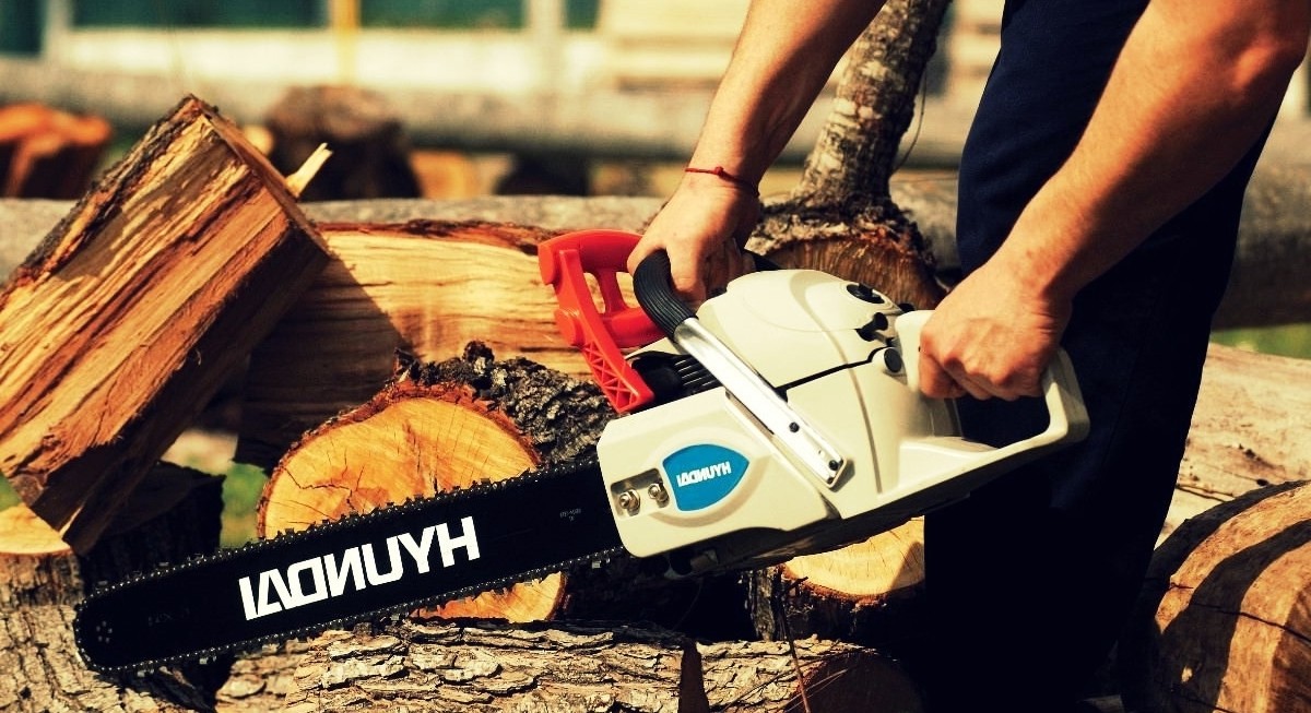 Cómo usar una motosierra en 12 pasos Tips de la Nueva Industria