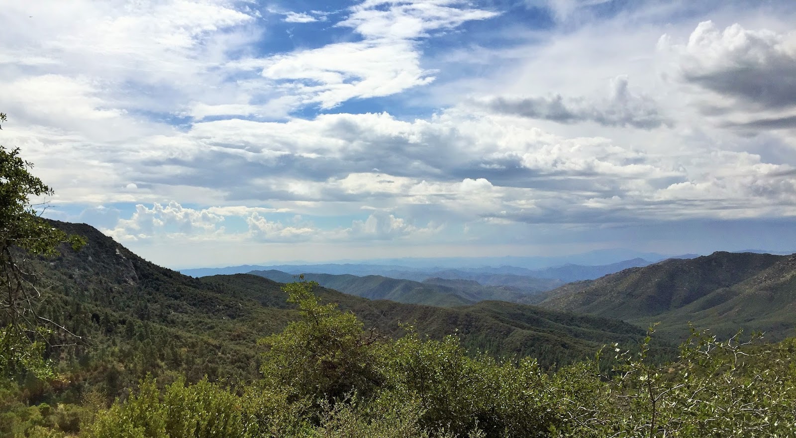 Down the Road Crown King, Prescott & Skull Valley, AZ