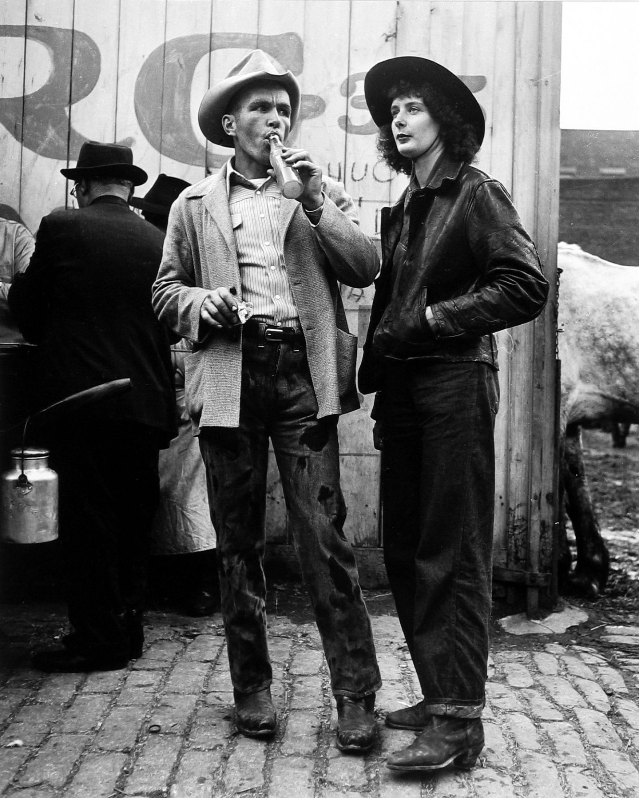 Photo of the Day Rivet Head