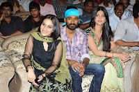 Three Audio Launch Gallery [Andhrula Music]