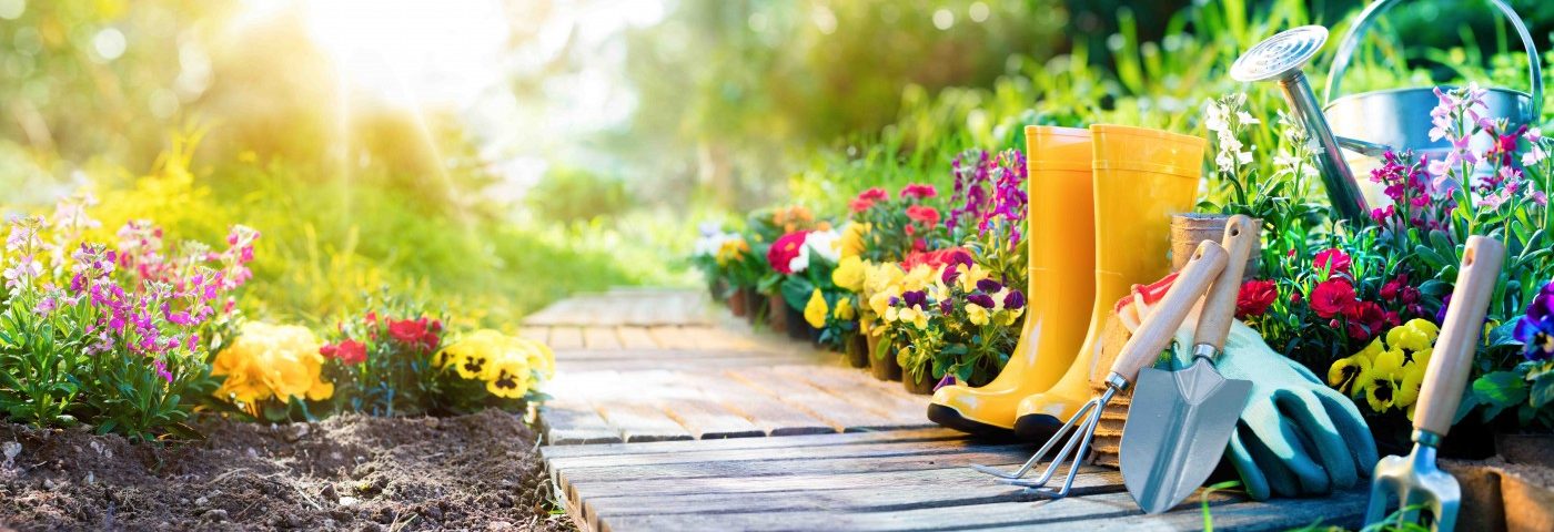 Our Parkinson's Place: My Safety Tips for Gardening with Parkinson’s ...