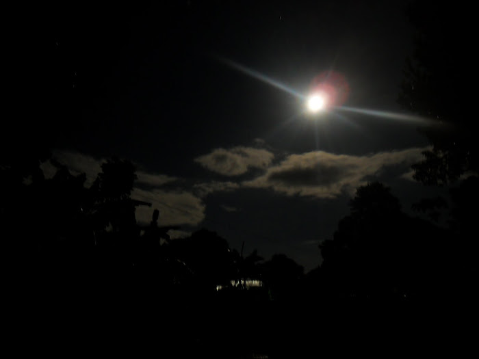 My Sumilao Night Sky