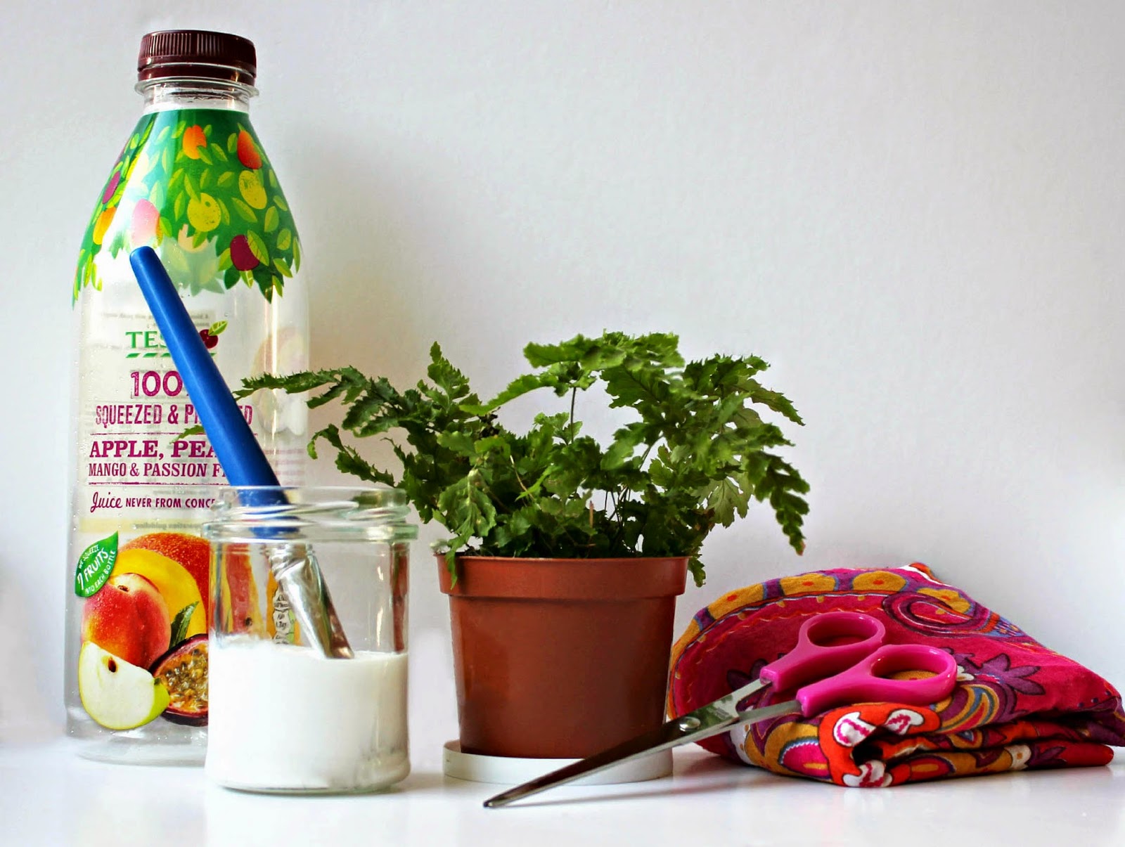 Thoughtful Types How to turn a plastic bottle into a plant pot