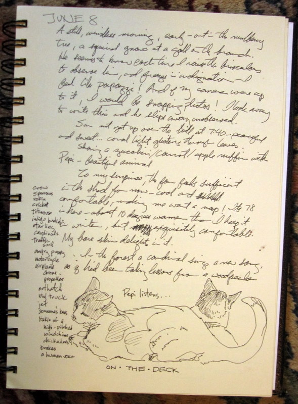 Artists' Journal Workshop: How do you use your journal?