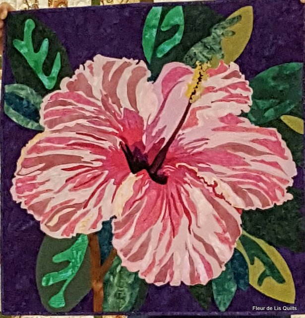 Fleur de Lis Quilts and Accessories Krotz Springs Quilt Show (pt 2)