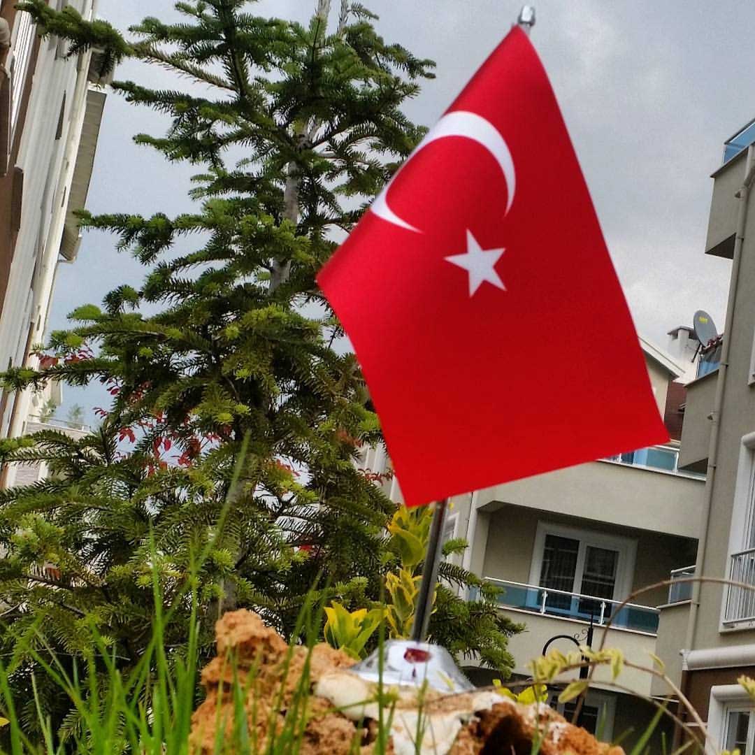 sanli hilal turk bayragimizin resimleri 8