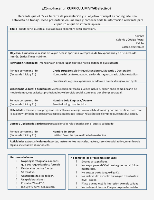 Curriculum vitae efectivo 06 picture