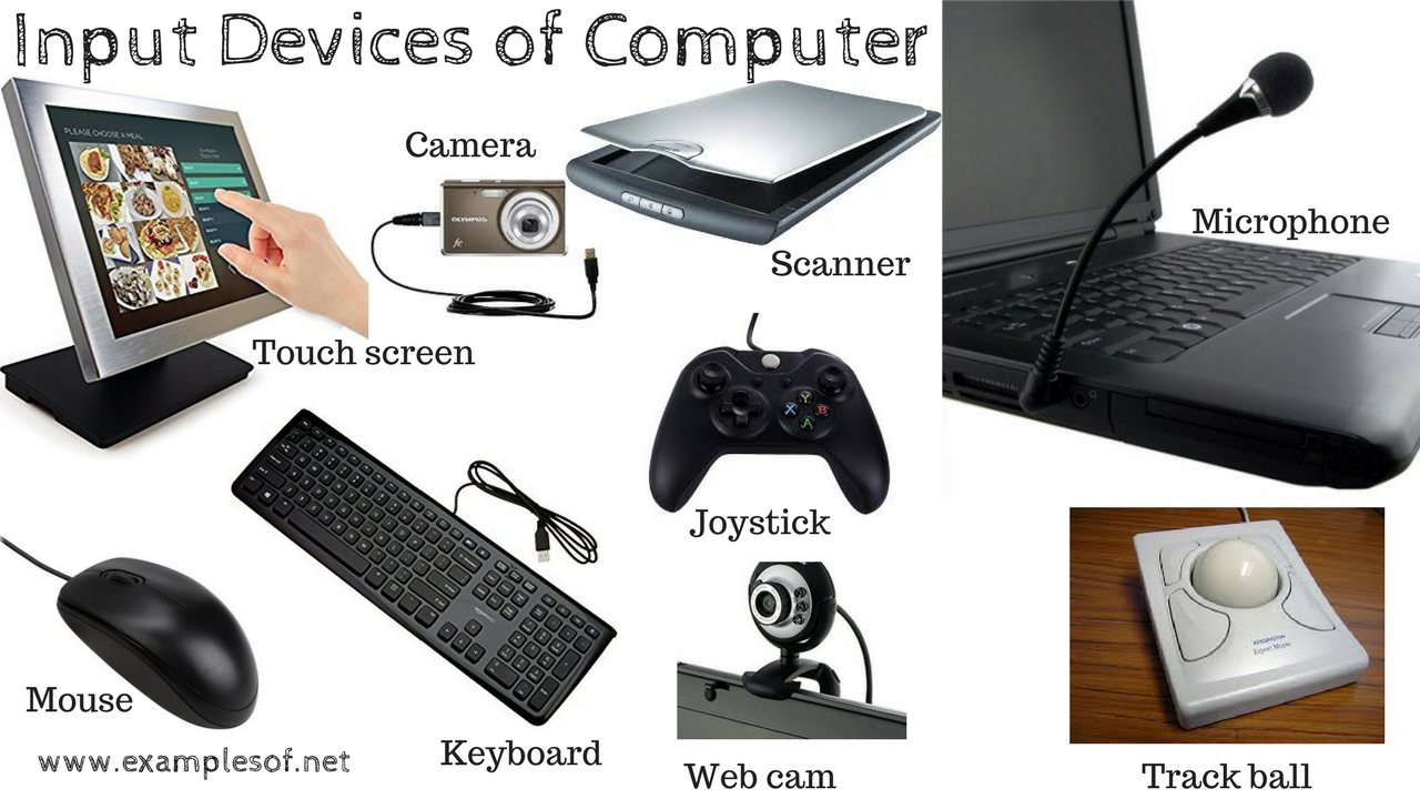 Computer Input and Output Devices