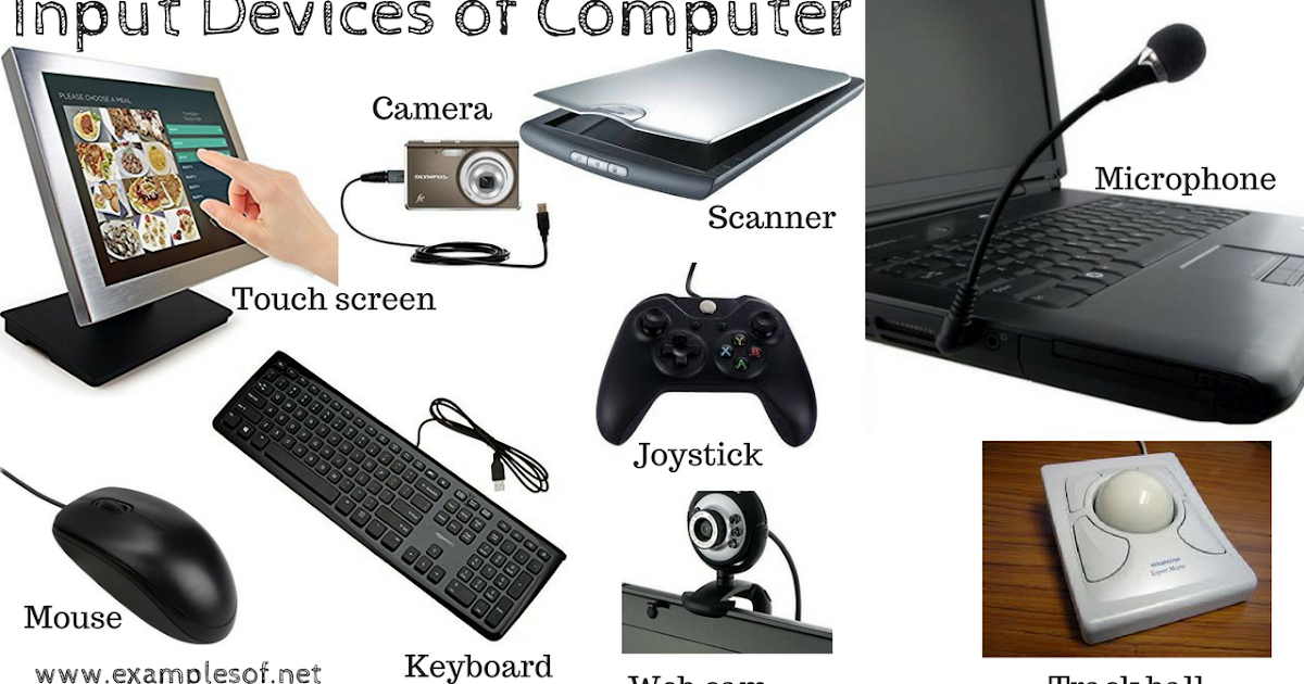 Computer Input And Output Devices Examples