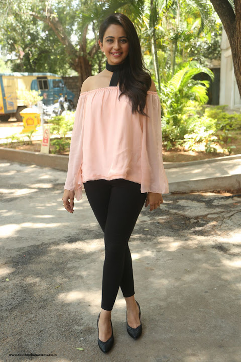 Rakul Preet Singh at Jaya Janaki Nayaka Success Meet