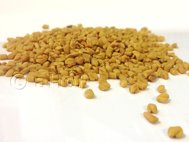 Fenugreek Seeds, or Methi Fenugreek Seeds, or Methi