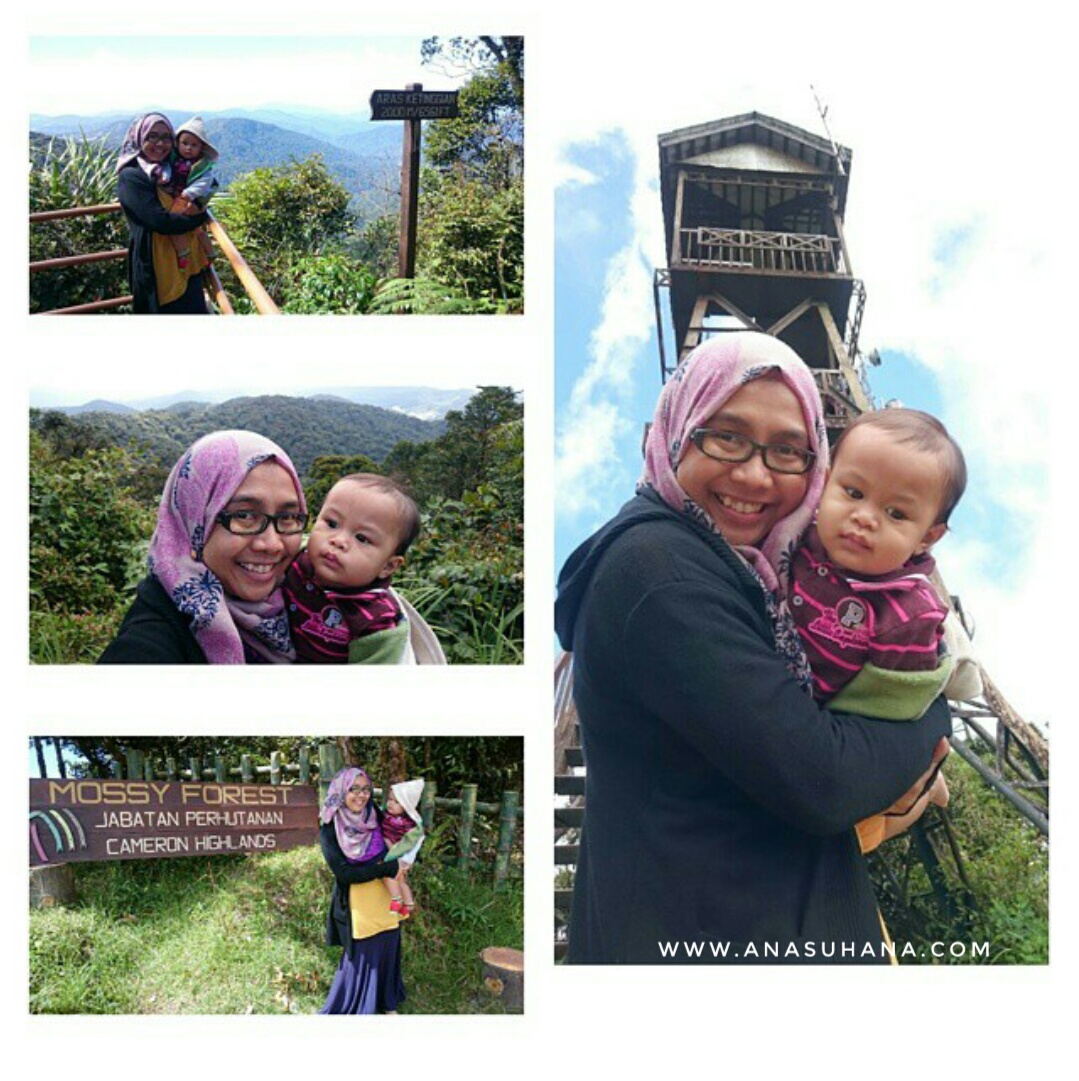 10 Tempat Menarik di Cameron Highlands Wajib Singgah 10 Tempat Menarik di Cameron Highlands Wajib Singgah
