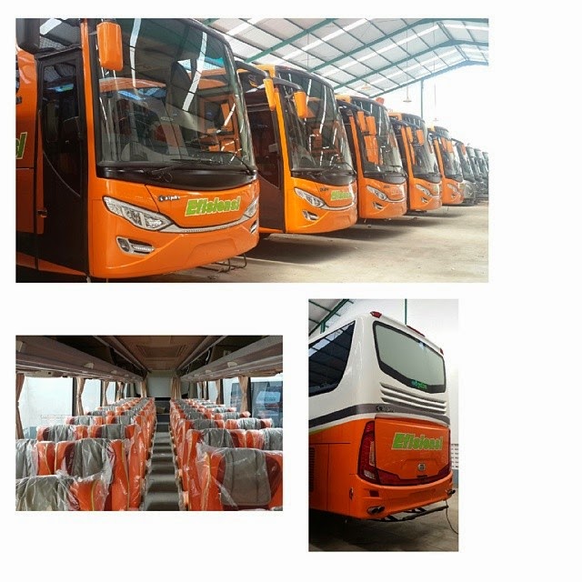 Jetbus 2 transport-spec: Kumpulan foto Jetbus 2 - Part 1