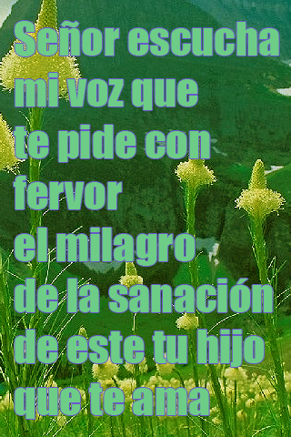 Señor escucha mi voz que te pide con fervor el milagro de la sanación de este tu hijo que te ama Señor escucha mi voz que te pide con fervor el milagro de la sanación de este tu hijo que te ama