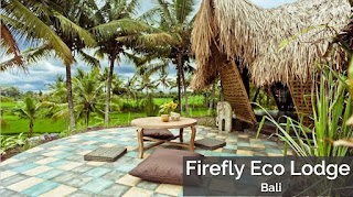 Firefly Eco Lodge - Bali pulau dewata, pulau di bali, wisata bali, pantai bali, hotel di bali, Firefly Eco Lodge - Bali