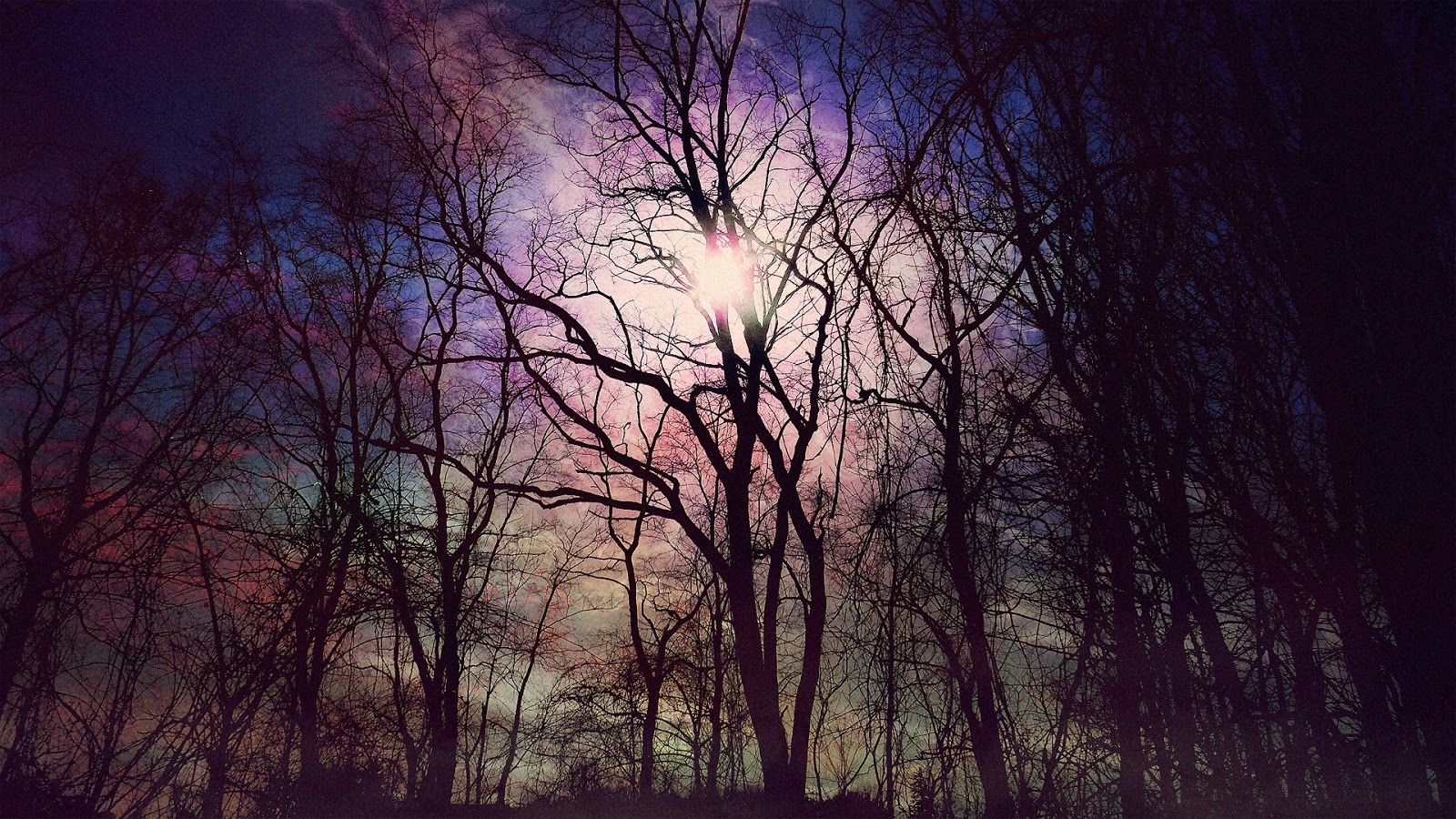 Top 10 most dangerous forests in the world, दुनिया भर में खतरनाक जंगल