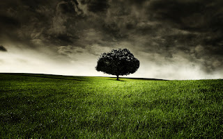 HD 2012 Wallpapers: HD Creative Wallpapers 2012 set 4