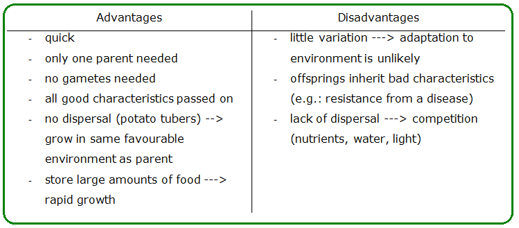106-types-of-reproduction-biology-notes-for-igcse-2014-2024