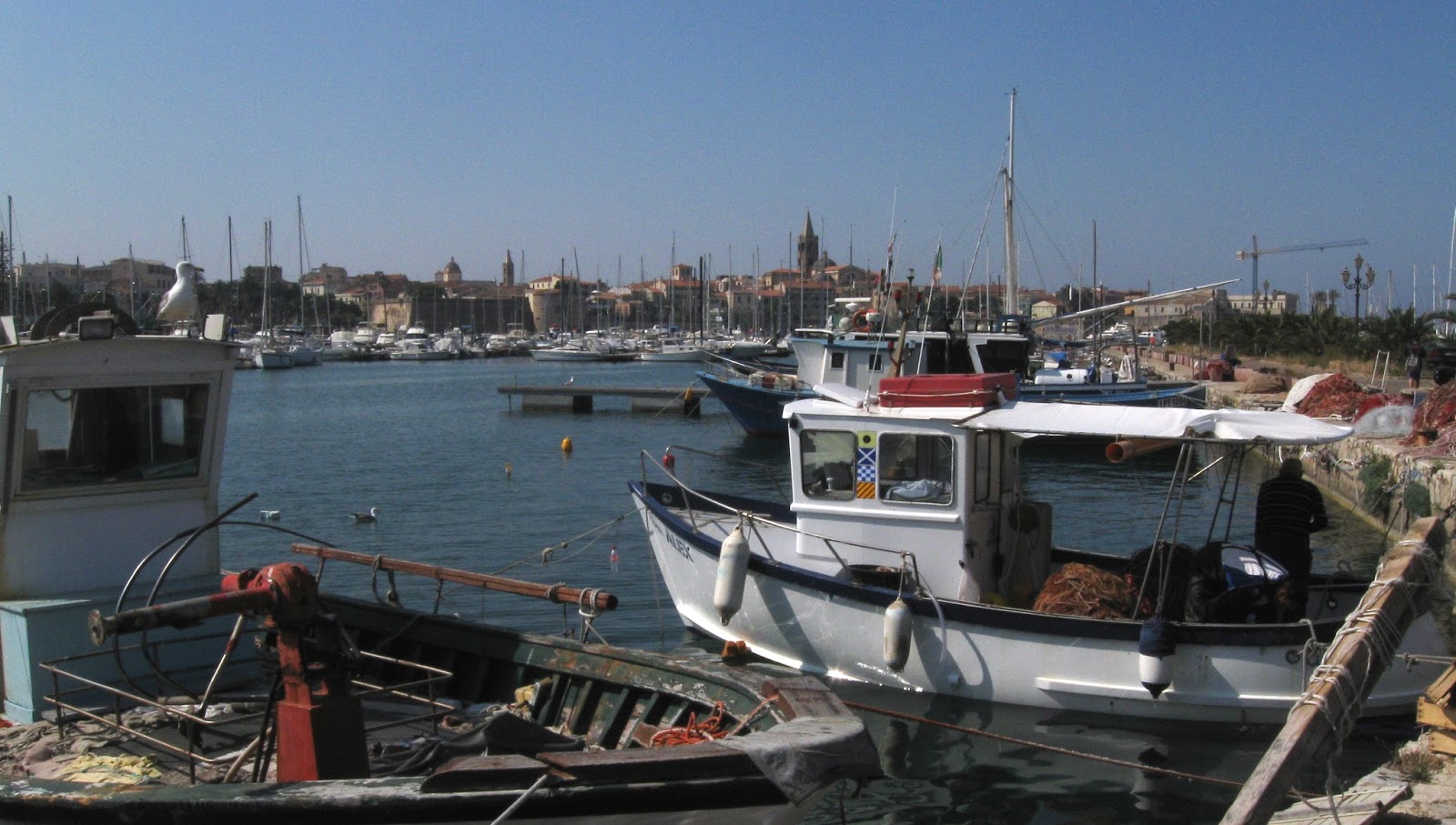 edu comelles Cinco Villas