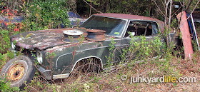 1971 Chevy Monte Carlo sits in the weeds at Thompson’s junkyard in south Alabama.