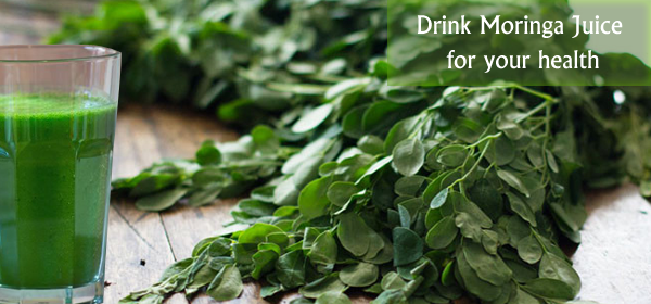 Lá Chùm Ngây có nguồn Đạm nhiều hơn cả Đậu nành: 'Pure Healing Foods' Lá Chùm Ngây có nguồn Đạm nhiều hơn cả Đậu nành: 'Pure Healing Foods'
