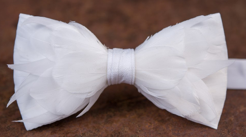 Original Feather Bow Tie in Guinea by Brackish Bow Ties – Country