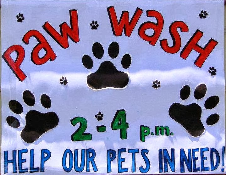 The Public Eye PAW WASH This Saturday For Pets In Need Fund