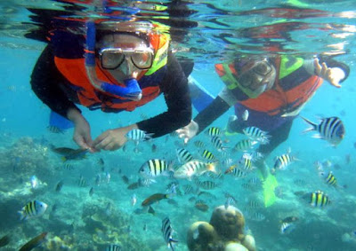 bawah laut pulau harapan wisata pulau harapan