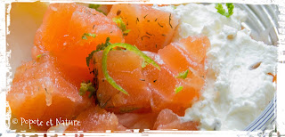 saumon gravlax ©Popote et Nature