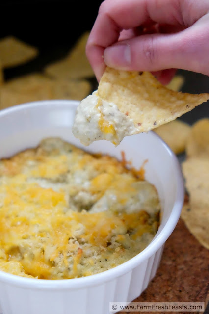 This hot, spicy, cheesy vegetarian dip has the flavor of a cheese-stuffed pepper without all the fuss. Salsa verde provides the heat in a smooth dip great for parties and game day snacking.