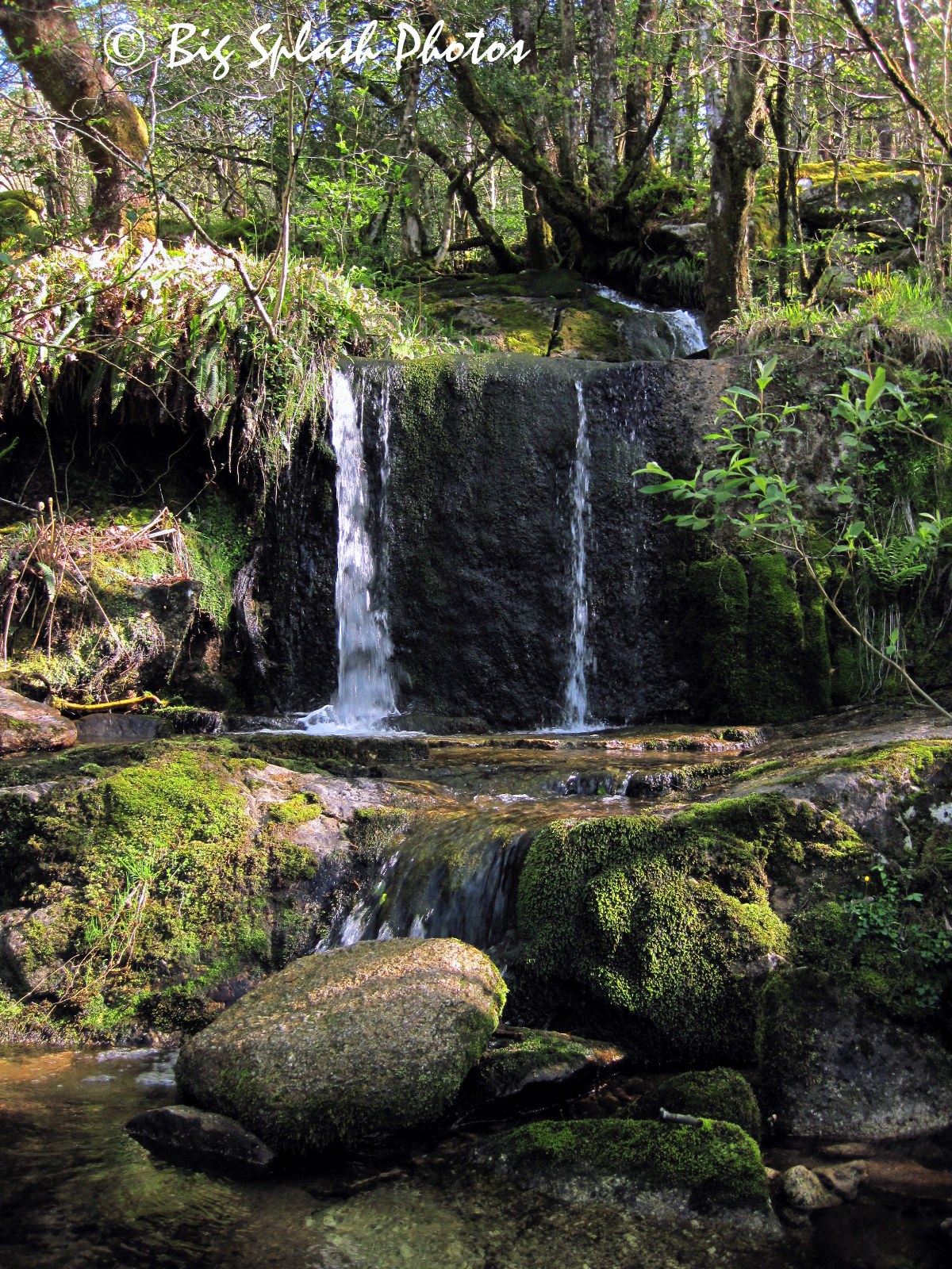 DevonSwimMap Salmon Leaps