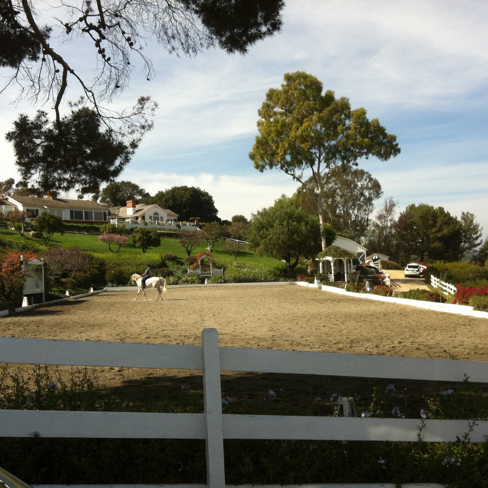 Palos Verdes Horse Property 3104938333
