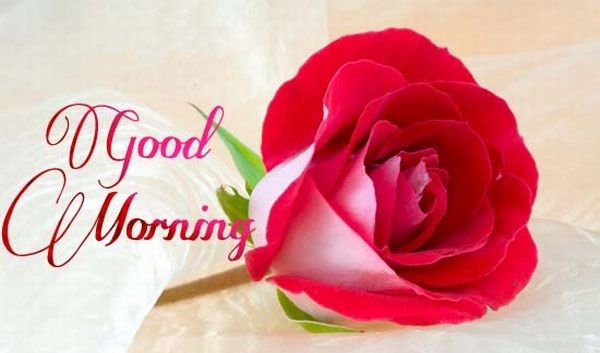 good morning love gif for whatsapp