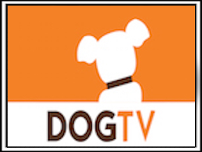 Pet TV Roku Channel