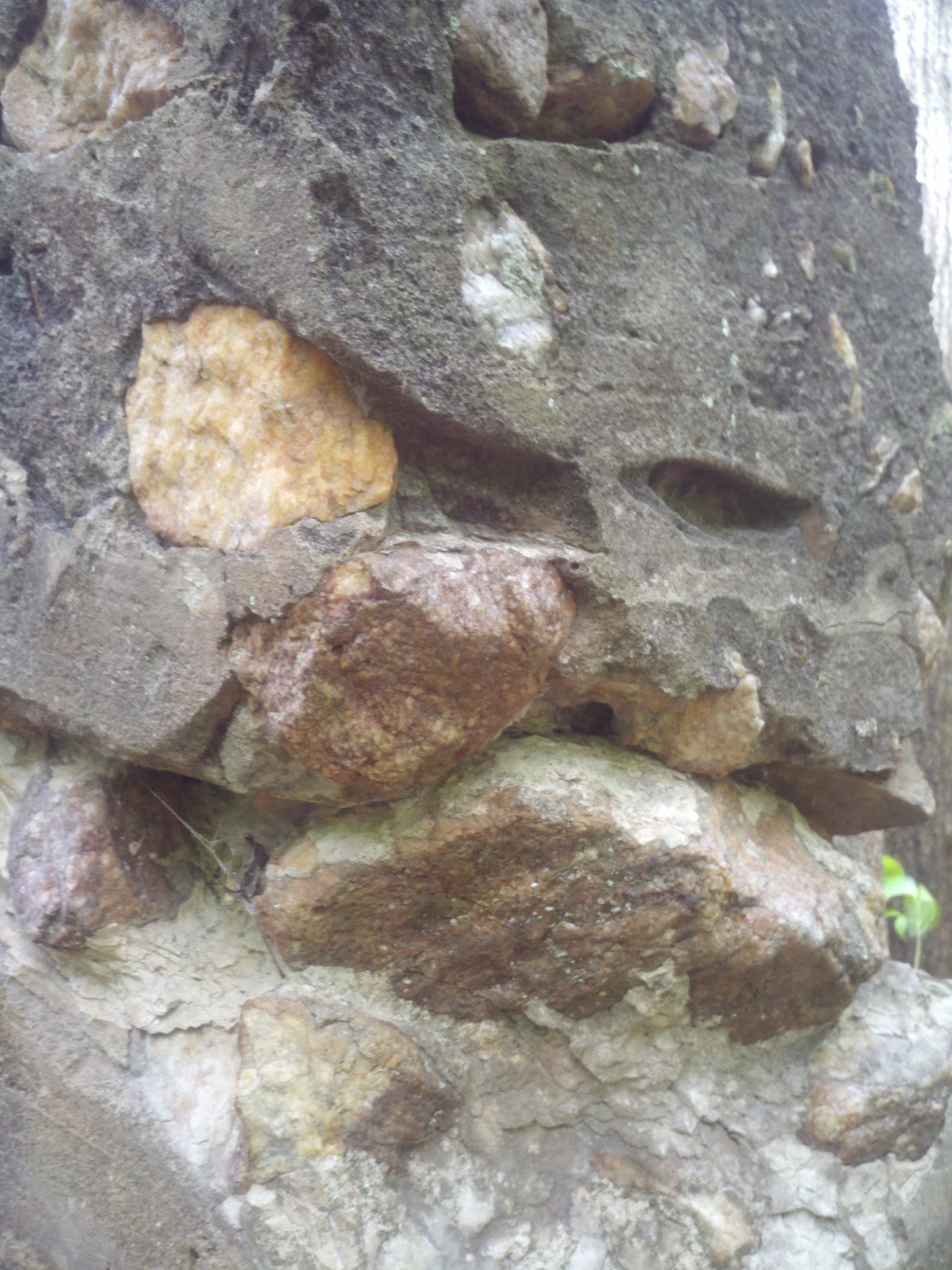 Matt Decker's Blog Hiking at the Pacolet River Preserve